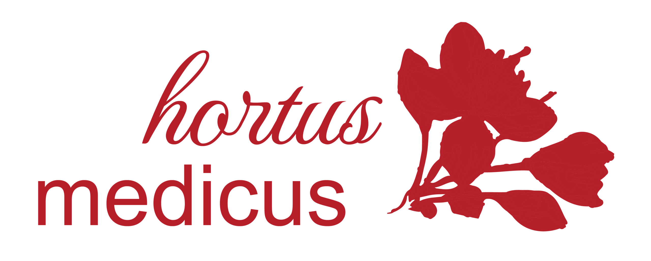 Café hortus medicus